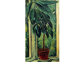 Фикусът / The India-rubber plant